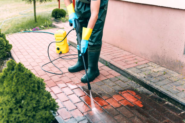 Deck Cleaning Services in Miami Springs, FL