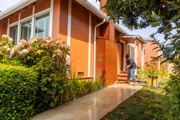 Best Affordable Pressure Washing  in Miami Springs, FL